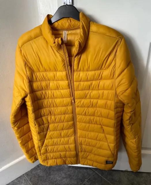 Pull and deals bear yellow coat