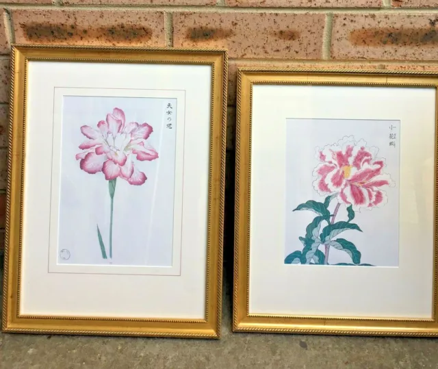 Pair of vintage Lithograph Botanical prints 41 X 54 & 49 Cm Gold Frame
