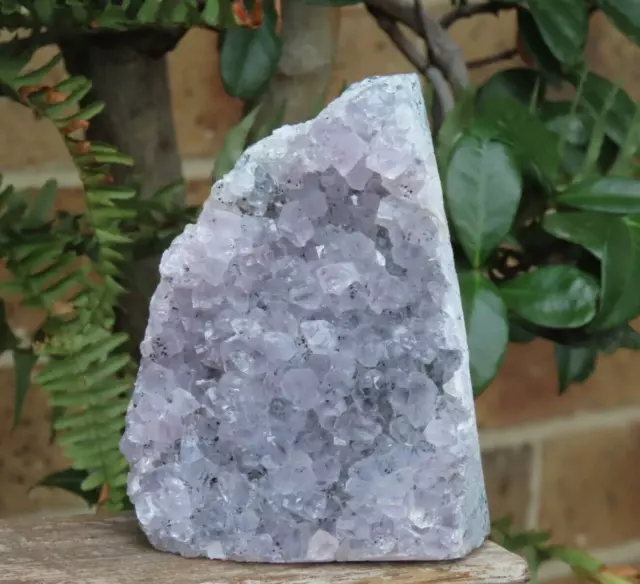 Raw & Rough Amethyst Crystal Cluster 681Grams Display Piece Purple Natural Geode 3