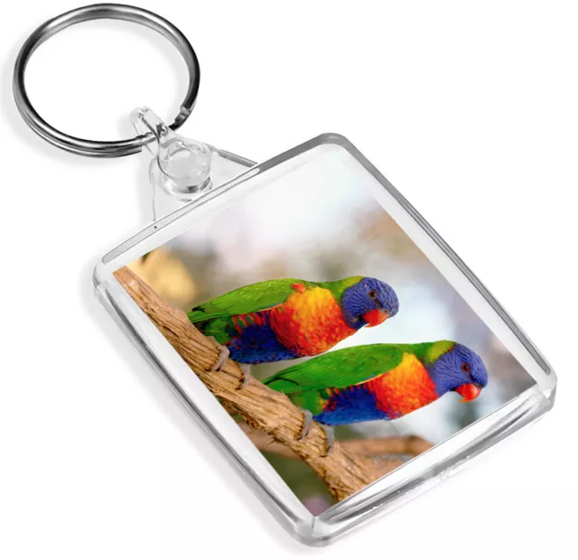 Beautiful Rainbow Lorrikeets Keyring Jungle Birds Animals Colour Gift #16202