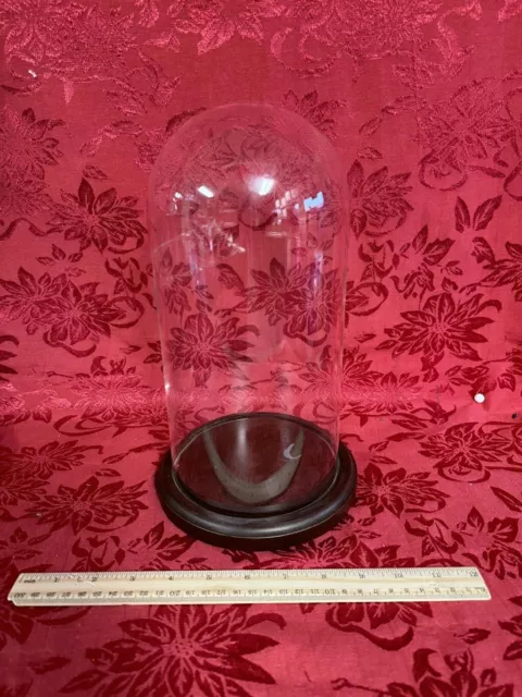 Clear Glass DISPLAY DOME & Wood Base