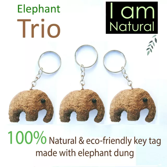 Cute Elephant Dung 3 Key Tags Key Ring Handmade Natural Key Chain Bag Hook Gifts