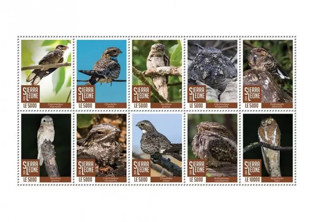 NIGHTJARS 10-Value MNH Birds/Bird Stamp Sheet #682 (2020 Sierra Leone)