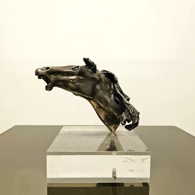 Scultura testa di cavallo in bronzo XX secolo