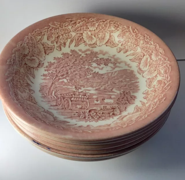 EIT English Ironstone Bowl Cereal Soup Country Scene x6 Pink