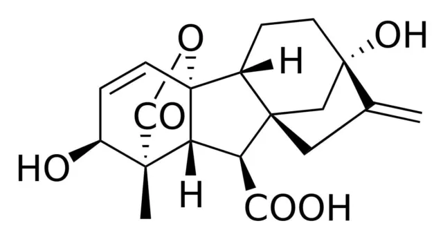 Gibberellinsäure ( gibberellic acid )  GA3   90+% - 0,5 Gramm