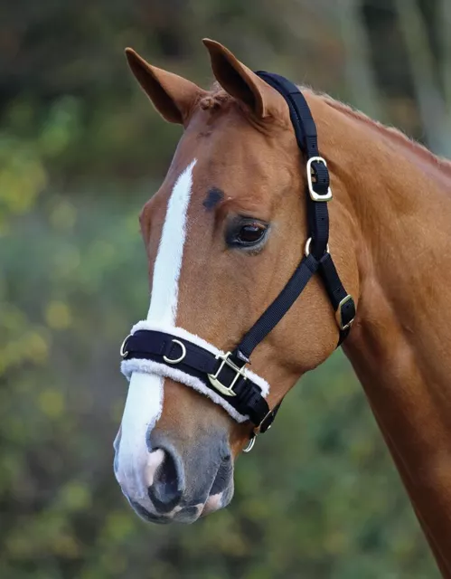 Shires Vlies gefütterte Nylon Lunge Cavesson Lunging | schwarz | Pferdetraining