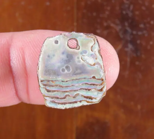 Very fine abalone shell pendant, Amazing 1930s Sacramento Valley CA. Coll.