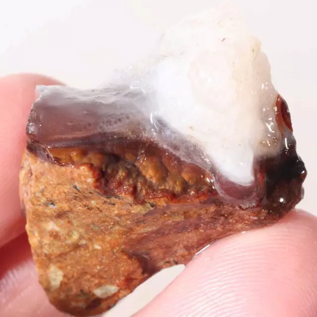 Fire Agate 1 oz. rough lot Ju3 .99¢ start