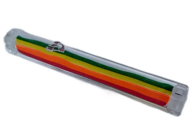 New Rainbow Pride Mezuzah Mezuza case Jewish Judaica Heb shin Israel plastic