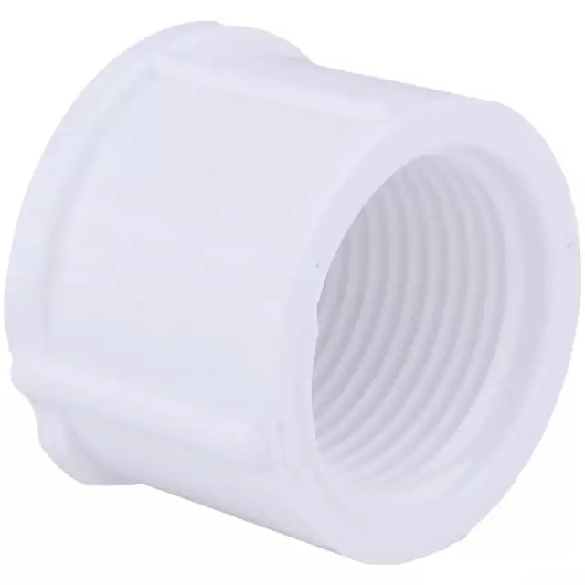 Charlotte Pipe 3/4 In. FIP Schedule 40 Threaded PVC Cap PVC 02117  1000HA Pack