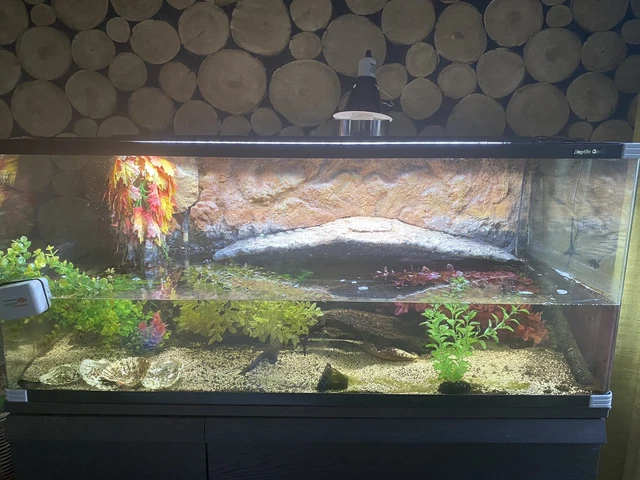 large fish tank used