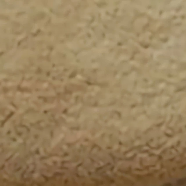 (Light Tan) Door Mat Oval Slip Proof Indoor Door Carpet Moisture