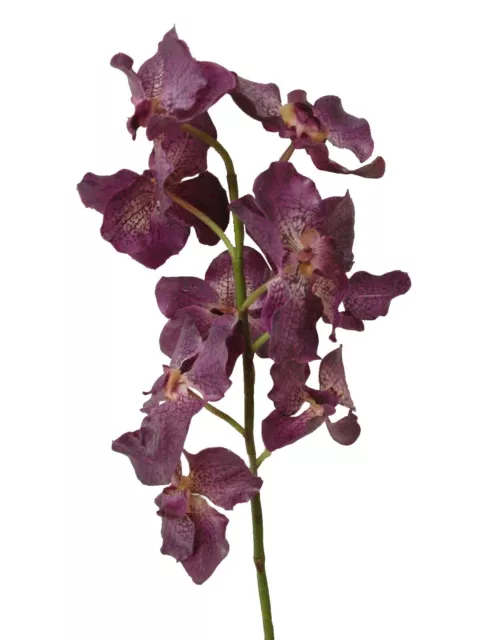 (01536) Artificial Flor Orquidea Phalaenopsis Orchid Vanda Violeta