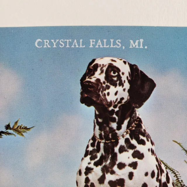 Dalmatian Dog Crystal Falls Postcard 1970s Michigan Purebred Coach Vintage A968 3