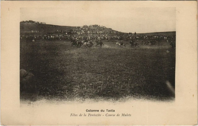 CPA AK Tadla - Fetes de la Pentecote - Course de Mulets MAROC (1083170)