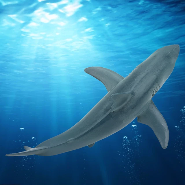Jouet De Modèle De Poisson De Requin De Mer Modèle De Poisson De Requin De