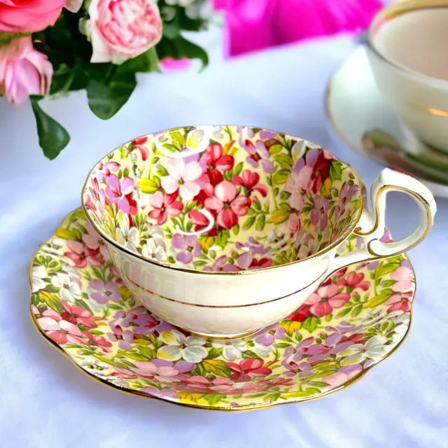 Royal Standard Virginia Stock Floral Chintz Tea Cup & Saucer  D Handle