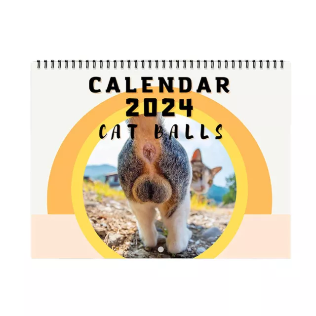 2024 Cat Calendar Funny Big Cat Buttholes Cats Wall Calendar Rectangle Calendar