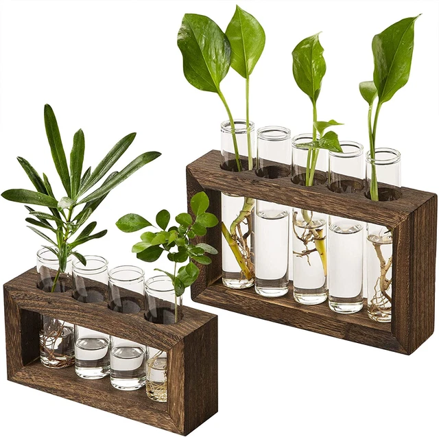 Yangbaga Wall Mounted Hanging Planter 9Test Tubes, Terrarium Planter Vase Kit wi