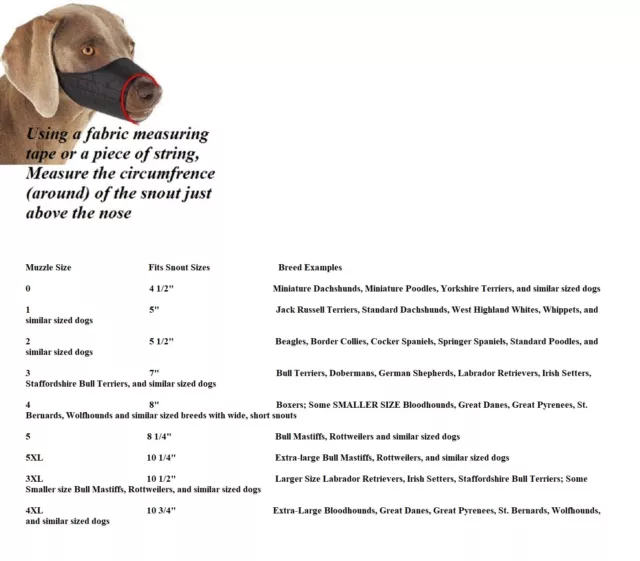 PAS D'ÉCORCE DE MORSURE Premium Confort DOUBLÉ RAPIDE FACILE AJUSTEMENT RÉGLABLE MUSEAU CANIN entraînement 2