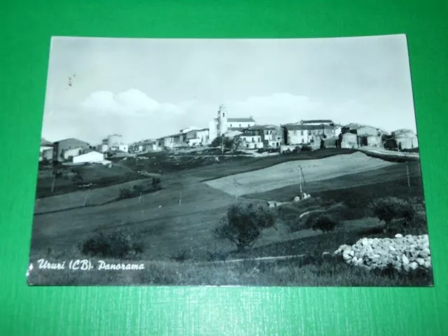 Cartolina Ururi ( Campobasso ) - Panorama 1963