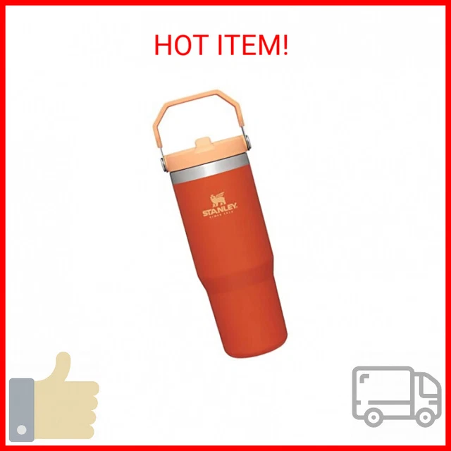 Stanley IceFlow Stainless Steel Tumbler with Straw - Vacuum Insulated Water 30oz