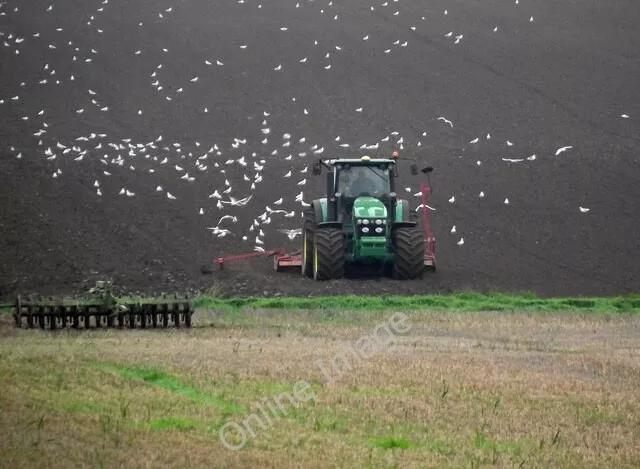 Photo 6x4 Seed Drilling near Burnham Burnham/TA0517  c2010