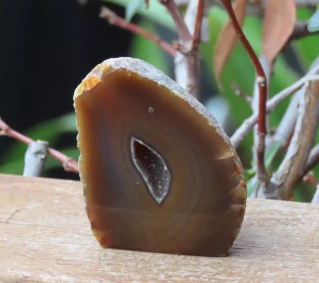 Unique Brown Dyed Agate Crystal Geode Raw Polished Face 122 Grams 55mm Tall