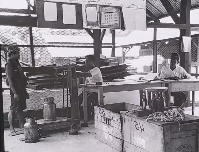 Weighing Latex, US Rubber Company, Sumatra DEI, c1926 Magic Lantern Glass Slide