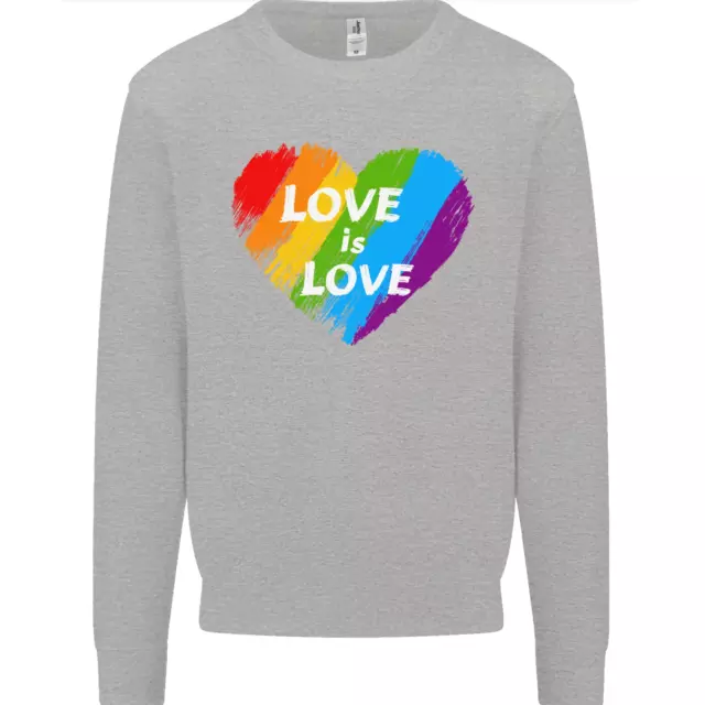 LGBT Love Is Love Gay Pride Day Awareness Mens Sweatshirt Jumper