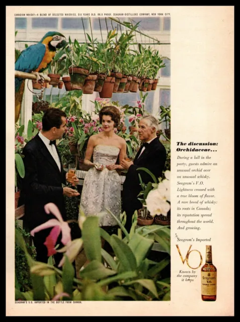 1962 Seagram's V.O. Canadian Blended Whisky Parrot Macaw Nursery Plants Print Ad