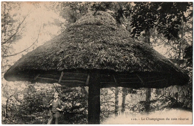 CPA 58 - POUGUES (Nièvre) - 110. Le Champignon du coin réservé (animée)