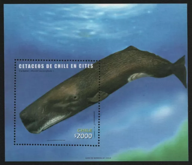 Chile 2002 - Mi-Nr. Block 56 ** - MNH - Wale / Whales