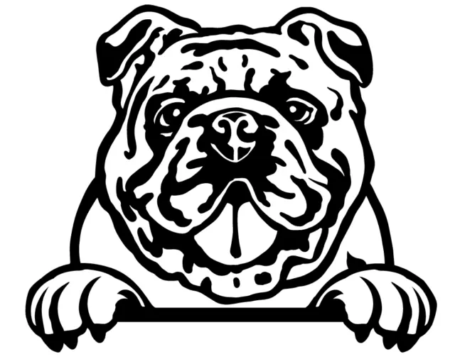 ENGLISH BULLDOG Cute Peeking Dog 4" Magnet Fridge Magnet Dog Mom Dog Dad 🐶