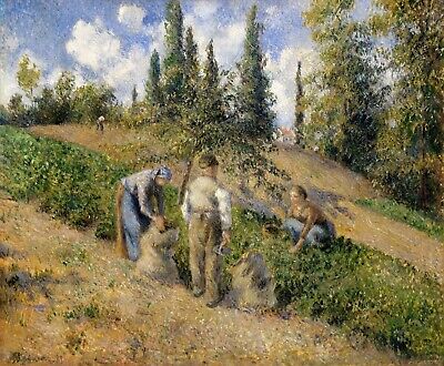 10168.Decor Poster.Room wall art.Camille Pissarro painting.The Harvest,Pontoise