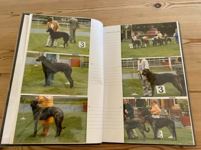 Rare Orig Drissaig Scottish Deerhound Dog Show Photo Album Book 1970-1990