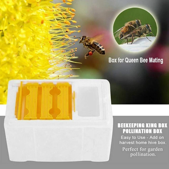 Foam Queen Bee Mating Cases Bees Copulation Beehive Tool w C3A4 Ne Reserve F3T8