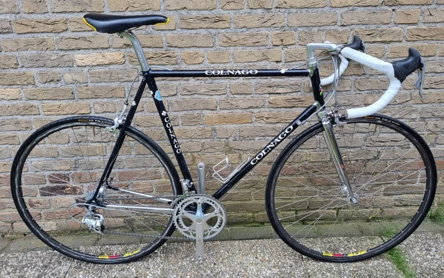 Colnago thron outlet