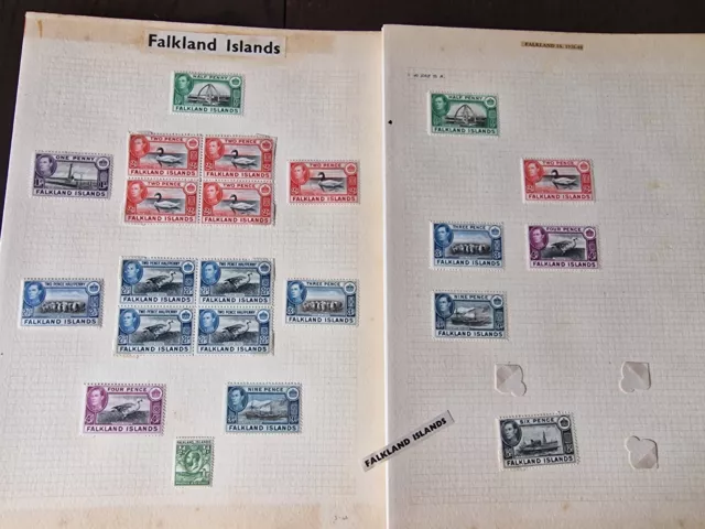 Falkland Islands KGVI Stamp Selection on Album Pages