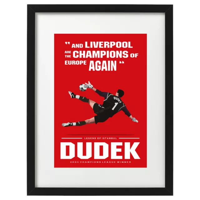 Jerzy Dudek Liverpool FC 2005 Champions League Final art print / poster