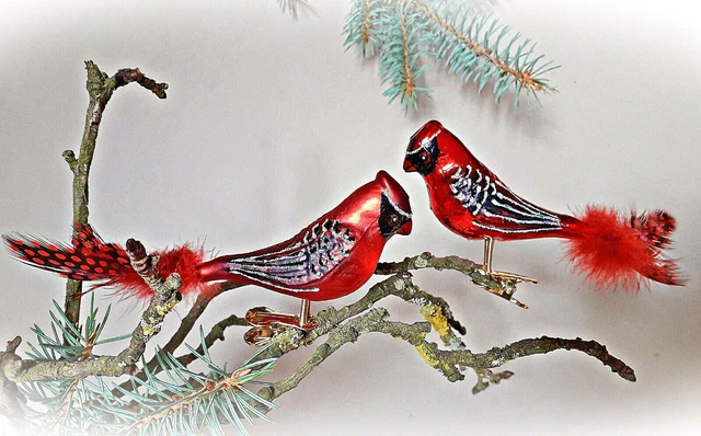 ❀ 2 x Glasvogel Kardinal Rot Lauscha Glas Vogel mit Feder Christbaumschmuck #221