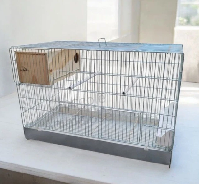 Gabbia Cova 3 In Metallo 58x32x37 Cm Per Canarini E Pappagallini – Con Posatoi, Mangiatoie E Divisorio