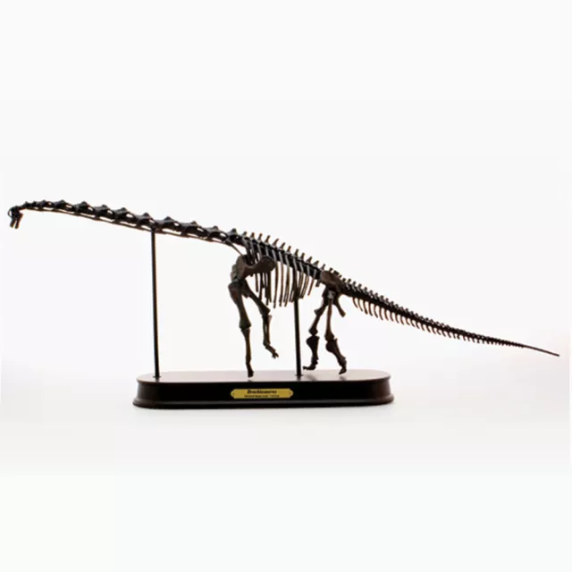 Brachiosaurus Dinosaur Skeleton Statue Collectible Model Display Special Color