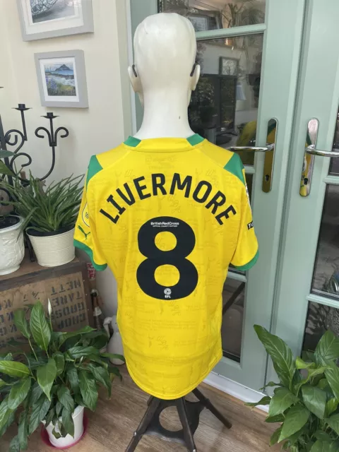Fußballshirt West Bromwich Albion Match Ausgabe - Jake Livermore..