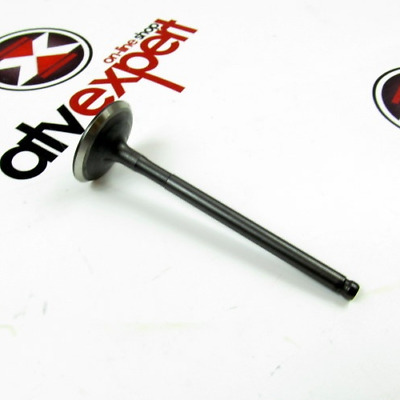 Triton Original OEM SLIDER CAM PLATE TRITON ACCESS BAJA OUTBACK 250 300 400-3 pcs 