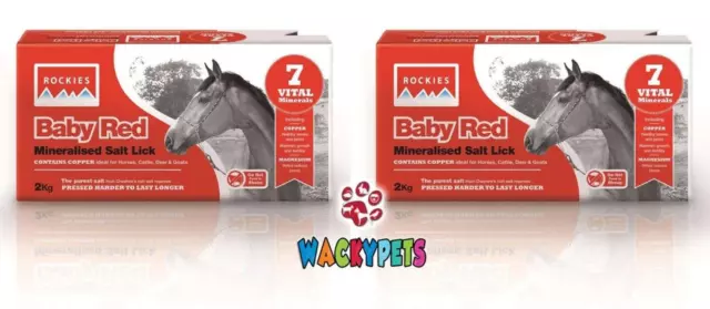 HORSE / PONY LICKS: Rockies Baby Red 2kg x 2 (TWO) with 7 Minerals