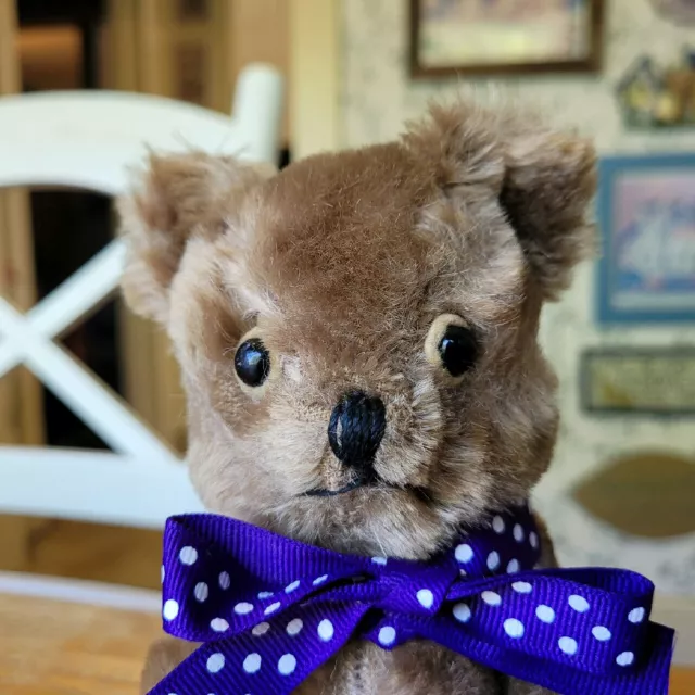 Antique Vintage 1950's Character Novelty Co. Brown Mohair Teddy bear 9in VGC+