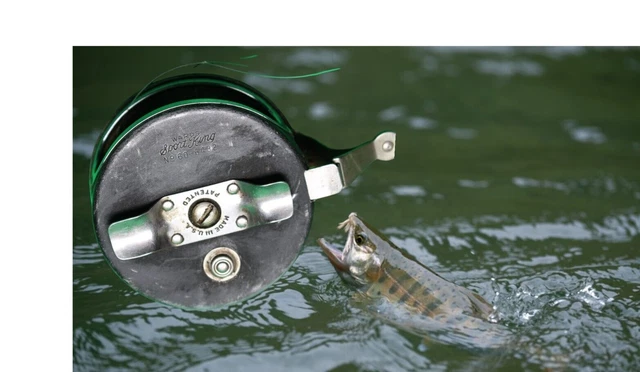 Moulinet De Pêche à La Mouche Vintage Shakespeare Beaulite – Angleterre, Cliquet