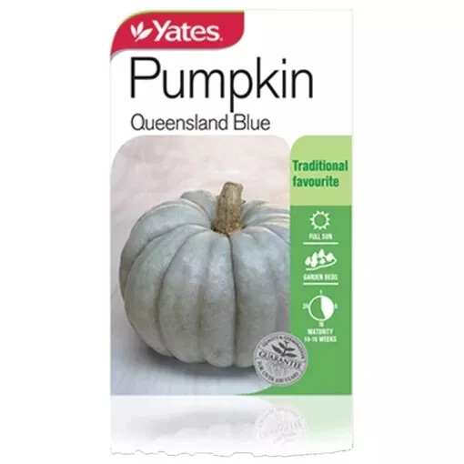 Pumpkin Queensland Blue Yates Free Postage